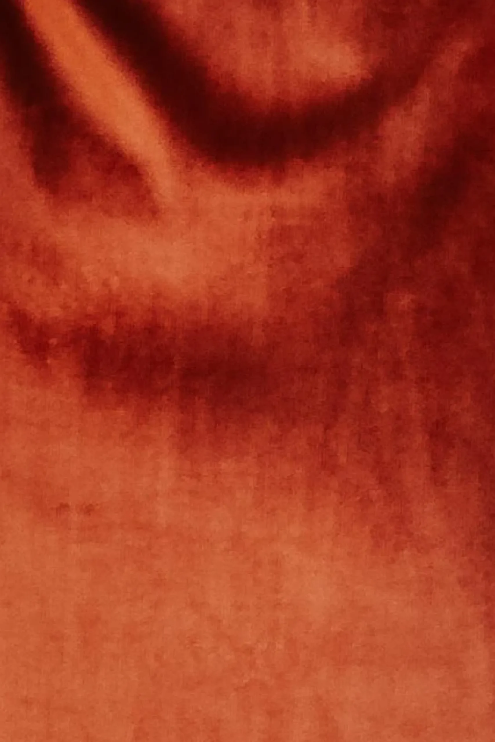 Fashion Baltic Born Fabric Swatch - Meghan Velvet | Rust